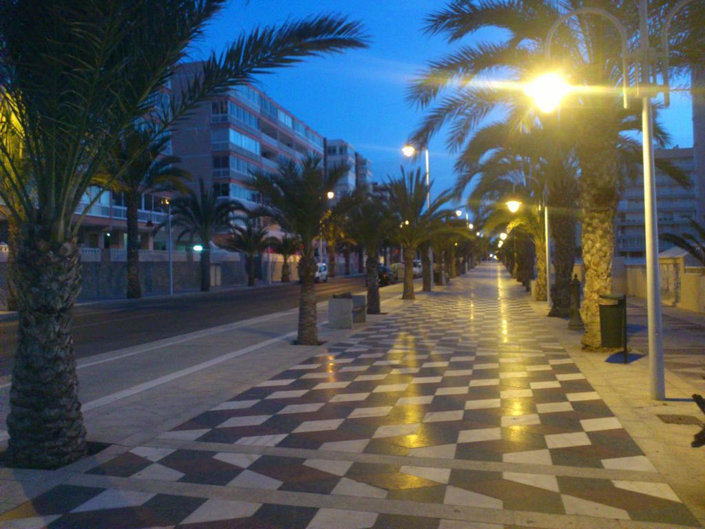 Arenales Del Sol Villa Værelse billede